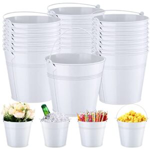 rtteri 24 pcs metal bucket, small metal bucket, party favor buckets with handle, 6 x 5 inch ice bucket for kids, flower pot plant basket, mini toy containers for crafts candy (white)