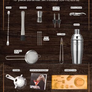 Bartender Kit, TNCO Cocktail Shaker Set with Stand,Bar Set Drink Mixer Set with All Essential Bar Accessory,Martini Mixer Cup with Muddler,Jigger, Strainer,Ice Tongs,Spoon,Liquor Pourers,Ice Filter