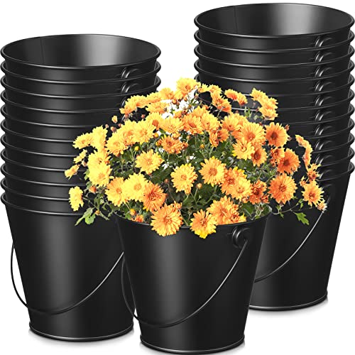 24 Packs 4.1 x 4.7 Inch Metal Buckets with Handle Small Iron Pail Metal Buckets for Party Black Bucket for Plant Candy Crafts Vase Favor Mini Toy Container School Storage and Party Supplies