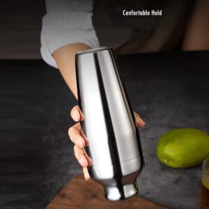FRONTIER Cocktail Wine Shaker Stainless Steel Martini Shaker with Cap and Strainer Drink Mini Shaker 10OZ