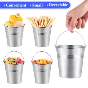 Toyvian Metal Buckets Mini Tinplate Bucket,4 Inch Metallic Pails with Handle for Party Favors, Candy, Votive Candles, Trinkets, Small Plants,12 Pieces