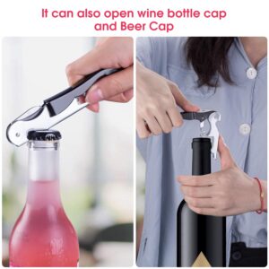 36 PCS Wine Bottle Protector Gas Column Wrap Bags Sleeves Glass Travel Transport Air filled Column Leakproof Cushioning with the Gift Air Pump and A Wine Opener