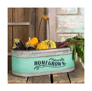 ctw home homegrown bucket