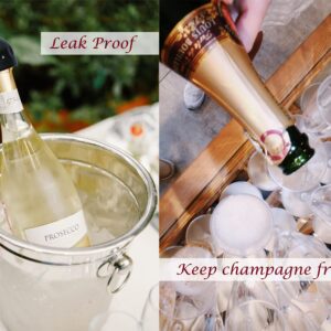 YOOHOTOUCH Champagne Stopper,2Pack Mini Champagne Saver Stoppers, Reusable Vacuum Leakproof Champagne Sealer,Perfect for Champagne, Cava, Prosecco & Sparkling Wine Bottle