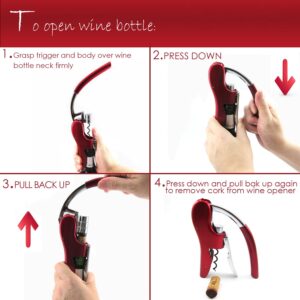 KAYCROWN Wine Bottle Opener, Vertical Lever Corkscrew with Built in Foil Cutter Design, Manual Handheld Corkscrew with Ergonomic Lever Pump