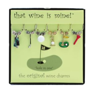 wine things 6-piece wine charms/wine glass tags/drink markers for stem glasses, wine tasting party (hole in one)