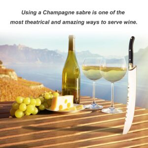 XuSha Champagne Saber Champagne Sword Wine Knife Bottle Opener Wood Handle with Gift Box (Black handle + Gift Box)