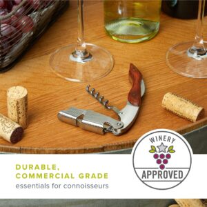 True Sommelier Waiter's Corkscrew - Professional Wine Bottle Opener, Wine Accessories, Gift for Wine Lovers, Stainless Steel - Set of 1, Silver