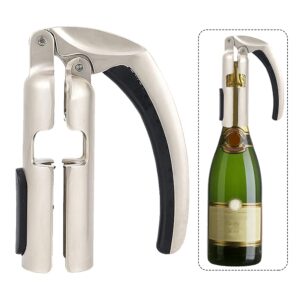 champagne bottle opener, zinc alloy sparkling wine cork puller, multifunctional bottles opener bar jar cork puller, virtually effortless(size:type a)