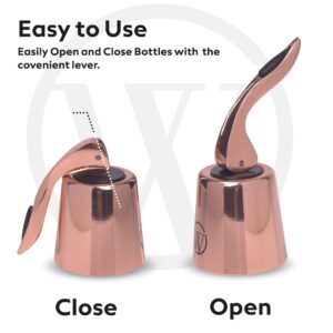 2-PACK Wine Bottle Stopper, Plug with Silicone, Wine Saver, Keeps Wine Fresh, Best Wine Gift For Wine Lovers (Rose Gold)