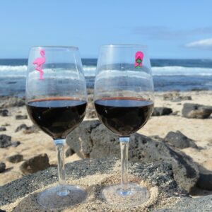 Beach Nautical Wine Glass Charms or Magnetic Markers for Making Your Drink Unique – Set of 12 Summer Glass Identifiers