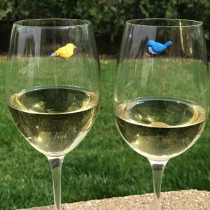 Simply Charmed Bird Wine Glass Charms - Magnetic Drink Markers to Identify All Your Glassware - Set of 6 Cocktail Charms