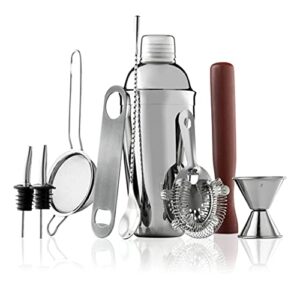 10-Piece Cocktail Shaker Set With Travel Bag - Stainless Steel Cocktail Shaker Set Bartender Kit - Mixology Bartender Kit - Strainer, Muddler, Jigger, Bar Spoon, Bottle Opener, Pour Spouts - Bar Set