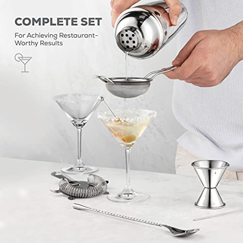 10-Piece Cocktail Shaker Set With Travel Bag - Stainless Steel Cocktail Shaker Set Bartender Kit - Mixology Bartender Kit - Strainer, Muddler, Jigger, Bar Spoon, Bottle Opener, Pour Spouts - Bar Set