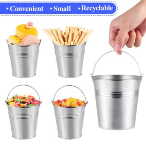 Toyvian Small Buckets for Party Favors Mini Metal Tinplate Buckets Snack Tin Pails Containers for French Fries Candies Planting Flowers 12 Pieces