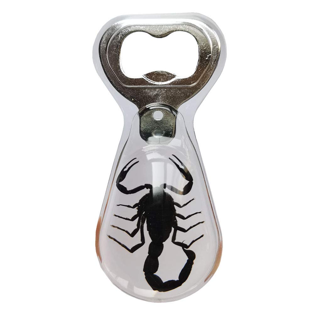 Real Black Scorpion Insect Specimens Built in Beer Wine Bottle Opener, Animal Taxidermy Collection，Opener Crafts (Scorpion[Clear])