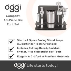 Oggi Pro Stainless-Steel 10-Piece Cocktail Shaker and Bar Tool Set