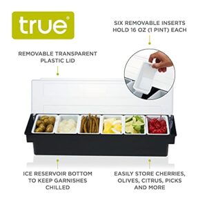 True Tray-6 Removable Inserts and Ice Reservoir Bar Caddy with Lid for Garnishes, Bartender Accessory for Cocktail Recipes, Plastic, Set of 1, Black