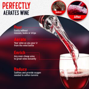 Wine Aerator Pourer Spout, Wine Air Aerator and Decanter for White and Red Wine Bottles, Portable Instant Wine Aerating Spout, No Spills or Drips, Wine Gifts for Women and Men