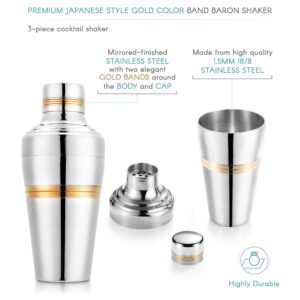 VinoBravo Cocktail Shaker Set for Home Bars and Professionals, Include Martini Shaker 17oz, Double Jigger, Mixing Spoon and Fine Mesh Strainer - Premium 18/8 Stainless Steel