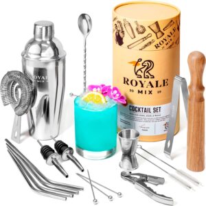 bar set cocktail shaker set for drink mixing - 19 piece bar tools set, mixology bartender kit with straws and martini picks, stainless steel bar accessories set, great housewarming gift for new home.
