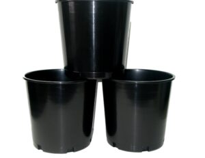 black offering, donation, ice buckets, 176 ounces, pack 3