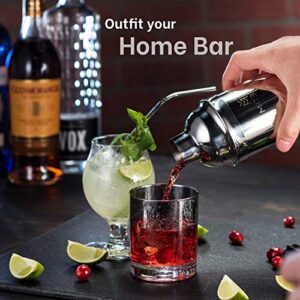 Mitbak Bartender Kit | 20-Piece Bar Accessories Set | Look Like A Pro With 25 OZ Cocktail Shaker Bottle, Strainer, Jigger, Steel Straws, Whiskey Stones & More | Excellent Gift