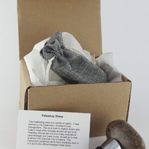 PETOSKEY STONE WINE STOPPER | For Lovers of Wine and Michigan | Includes Complimentary Gift Bag| MADE IN MICHIGAN!