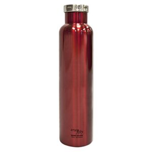 seven fifty shiraz vacuum-insulated stainless steel wine growler - 750 ml capacity