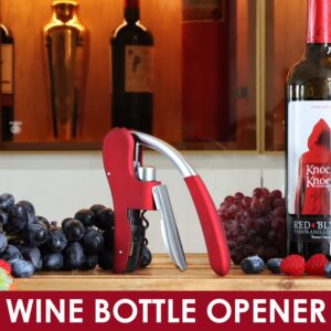 KEISSCO Wine Opener Vertical Lever Corkscrew Wine Bottle Opener with Foil Cutter And Extra Spiral