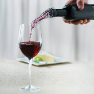 Trudeau Aroma Aerating Pourer with Stand Red Wine Bottle Aerator Spout,