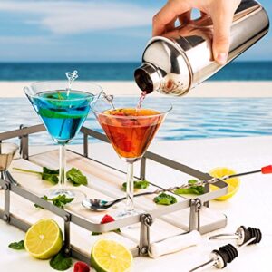 FineDine Expert Cocktail Shaker Home Bar Tool Set Stainless Steel Bar Set with Shaking Tin, Bar Spoon, Double Jigger, 2 Stainless Steel Bottle Pourers, Tapered Spout, and Flat Bottle Opener (6 Piece)