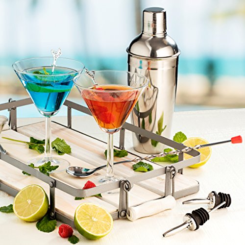 FineDine Expert Cocktail Shaker Home Bar Tool Set Stainless Steel Bar Set with Shaking Tin, Bar Spoon, Double Jigger, 2 Stainless Steel Bottle Pourers, Tapered Spout, and Flat Bottle Opener (6 Piece)