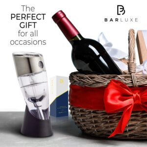 Wine Aerator, Wine Pourer - Best Wine Gifts for Women or Men - Instantly Aerate & Enhance Taste - Red Wine Aerator Decanter Set with Bonus Wine Pourer Disc & eBook 'Aerating Tips & Wine Accessories'