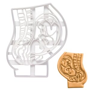 pregnant womb with foetus cookie cutter, 1 piece - bakerlogy