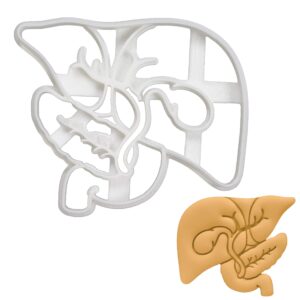 gallbladder cookie cutter, 1 piece - bakerlogy