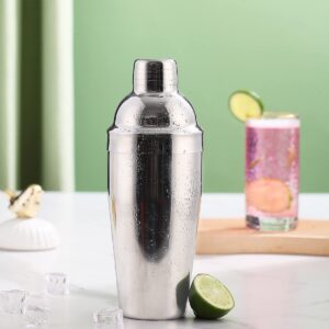 Kyraton Cocktail Shaker, Professional Grade Martini Shaker, Premium Stainless Steel Cocktail Shaker, Bar Accessories for Home Bars 24oz Total Volume