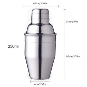 Delidge Small Cocktail Shaker Mini Martini Shaker Stainless Steel Drink Shaker with Strainer and Lid Top, Single Martini（250ml+350ml）