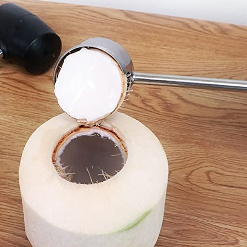 Stainless Steel Coconut Opener Tool: Portable Coconut Opener Manual Coconut Opening Tool with Handle for Mature Coconuts