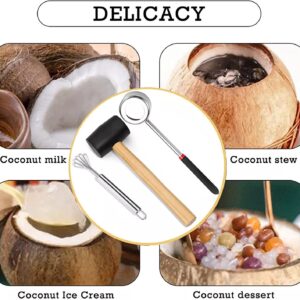 UnisonPet Coconut Opener Tool Set, Stainless Steel Coconut Opener Kit with Rubber Mallet Meat Removal Scraper, Coconut Drill Young & Mature Coconut Opening Tool