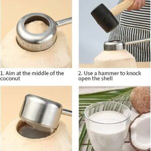 UnisonPet Coconut Opener Tool Set, Stainless Steel Coconut Opener Kit with Rubber Mallet Meat Removal Scraper, Coconut Drill Young & Mature Coconut Opening Tool