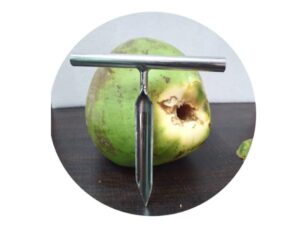 synspiritstore heavy duty food grade stainless steel tender green coconut opener, pack of 1