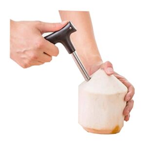 Coconut Opener Stainless Steel Fruit Coco Punch