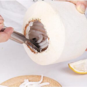 KEXINGTUO Coconut Grater Tool Set for Safe & Easy to Use Opening with Meat Removal Scraper,Rubber Hammer,Hole Maker Puncher Young Coconut Stainless Opener Kit