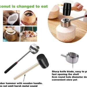 KEXINGTUO Coconut Grater Tool Set for Safe & Easy to Use Opening with Meat Removal Scraper,Rubber Hammer,Hole Maker Puncher Young Coconut Stainless Opener Kit