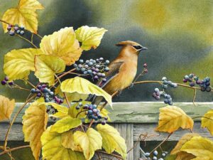mcgowan tuftop small tempered glass kitchen board, cedar waxwing bird and fall leaves