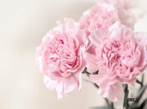 flower pink carnation floral kitchen glass cutting board decorative gift for mom design