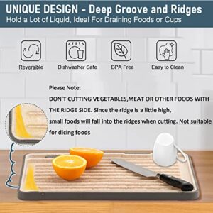 BSSuperU Plastic Cutting Boards for Kitchen with Ridge, Multifunctional Non Slip Upright Chopping Board with Juice Groove and Build in Sharpener Grater