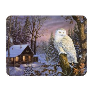 Rivers Edge Products Large 12in x 16in Decorative Tempered Glass Cutting Board, Hypoallergenic, Non Slip, Textured Surface Chopping Board for Kitchen, Cabin in the Woods with Snowy Owl, White Owl