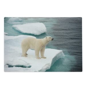 lunarable wilderness cutting board, polar bear walking on seice in therctic wildlife mammalnimal, decorative tempered glass cutting and serving board, large size, teal white and cream